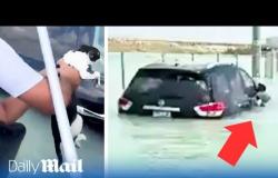 Das Video zeigt die Katze, die sich an das Auto klammert, um den Überschwemmungen in Dubai zu entkommen
