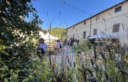 Programm und Nachrichten von Borgo Plantarum Reggioline -Telereggio – Aktuelle Nachrichten Reggio Emilia |