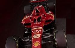 Der neue Ferrari in Carbon, wunderschöner Einsitzer. Ein super konkurrenzfähiges Auto, das für alle Strecken geeignet ist