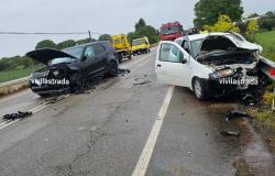Unfall auf der Provinzstraße zwischen Gioia del Colle und Putignano: Ein 48-Jähriger kommt ums Leben