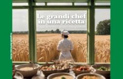 Confagricoltura Donna Puglia: Präsentation des Buches „Die großen Köche in einem Rezept“ am Samstag in Castellaneta – Aus dem Territorium