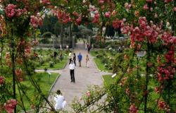 Der prächtige Rosengarten in Rom wird wiedereröffnet und ist kostenlos: Alle Informationen zu den Daten und Zeiten, zu denen Sie ihn besuchen können