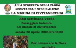 „Entdeckung geschützter Pflanzen und gebietsfremder Arten“, Bioma-Veranstaltung in Civitavecchia • Terzo Binario News