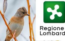 Die Region Lombardei stellt offiziell einen Antrag auf Ausnahmegenehmigung für die Jagd auf Steinpilze