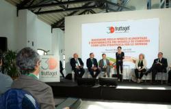 Ravenna. Nachhaltigkeit und der Kampf gegen Lebensmittelverschwendung stehen im Mittelpunkt der von Fruttagel organisierten Konferenz