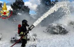 Wenige Feuerwehrleute und zunehmend ältere Menschen: „Auf Sardinien wird Verstärkung benötigt“