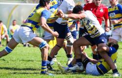Rugby der Serie A: Parma gegen eine prekäre Mannschaft, Noceto gegen Parabiago