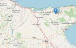 Erdbeben heute Foggia M 2,5/ Ingv aktuelle Nachrichten, Schock auch in Reggio Calabria