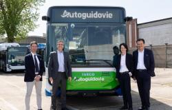 Grüne Kurve für Busse in Pavia. 14 Elektrofahrzeuge kommen an