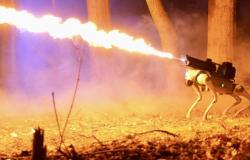Für 9000 Dollar kann man einen Roboterhund mit Flammenwerfer kaufen, um Feuer zu entfachen