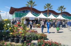 Blumenausstellung Florviva, 150 Aussteller im Touristenhafen – Neuigkeiten aus den Abruzzen
