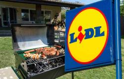 Perfektes BBQ mit LIDL-Angeboten, der Grillabend am 1. Mai wird unvergesslich: professionelles Zubehör zum kleinen Preis