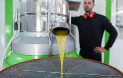 Olivitaly Med, ab 4. Mai 3 Tage zur Feier des extra nativen Olivenöls