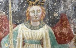 „Unter dem mit Sternen bemalten Himmel“: Besuche auf dem Gerüst, um die Fresken von San Francesco in Parma zu bewundern