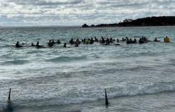 Australien: 140 Wale stranden in der Nähe von Dunsborough. 28 Wale tot, außer den anderen