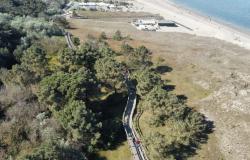 Walk & Run Maritime Park 2024 in Marina di Ravenna: Hier erfahren Sie, wann