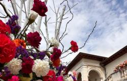 Sanremo, Villa Ormond in Fiore kehrt dieses Wochenende zurück: Hier ist das Programm – Sanremonews.it