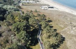 Entdecken Sie mit dem „Walk&Run“ den Meerespark im Abschnitt Marina di Ravenna