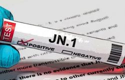 EMA zu Anti-Covid-Impfstoffen: „Aktualisierte Version gegen JN.1 ausreichend, um Abdeckung zu gewährleisten“