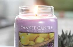 Yankee Candle Lavender Lemon Duftkerze zum SUPERPREIS bei Amazon