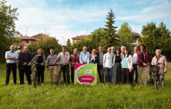 Die Liste „Grünes und mögliches Europa“ zur Unterstützung von Massari Reggioline vorgestellt – Telereggio – Aktuelle Nachrichten Reggio Emilia |