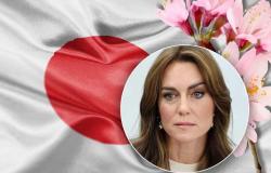 Kate Middleton, das revolutionäre Heilmittel gegen Krebs, kommt aus Japan: Hier erfahren Sie, woraus es besteht und warum jeder es tun kann