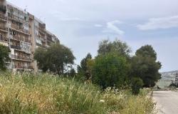 Agrigento, Fontanelle überschwemmt von Unkraut und Reisig. Risiken für die Bürger