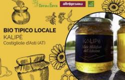 Typisch lokaler Bio-Anbau: bei NaturaSì in Asti ein Tag, der dem Kalipè-Honig aus Costigliole d’Asti gewidmet ist