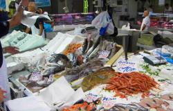 Fischmarkt, Hinterhalt des Unternehmers, neue in der Berufung anerkannte Verantwortlichkeiten tauchen auf