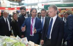 Macfrut öffnet die Plattenausgabe. Die Welt des Obsts und Gemüses wird drei Tage lang in Rimini gezeigt
