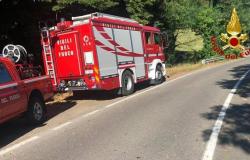 Lucca: Verlassenes Lagerhaus stürzt in der Via del Tempietto ein. Feuerwehrleute im Einsatz mit Hunde- und Usar-Einheiten