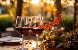 Die 8 besten Weine vom Kalterer See, ausgewählt von Gambero Rosso