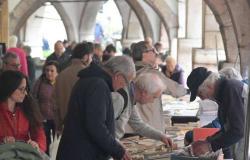 Buchwiederverwendungsmarkt in der Via Suffragio: malerisch, aber das System muss geändert werden – Trient