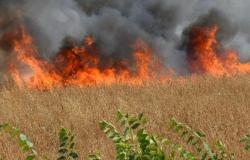 Marsala und Petrosino bekämpfen Brände mit der Verpflichtung, das Land zu säubern