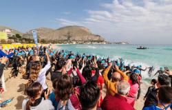 Palermo, der Triathlon kehrt mit dem Mondello Cup zurück: voller Sport zwischen Meer und Favorite