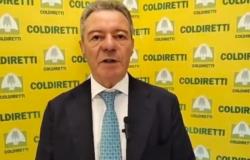 Coldiretti wird unter Verwaltung gestellt, Streit um die Spitze des Konsortiums