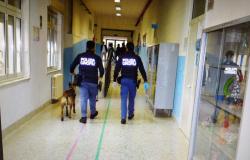 Die Landespolizei führt an Schulen Drogenkontrollen durch. – Polizeipräsidium Agrigent