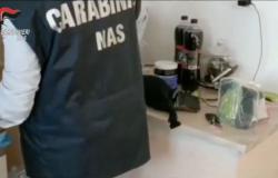 Sassari. Handel mit Anabolika in Fitnessstudios: Zwei Personen aus Sassari auf frischer Tat ertappt | VIDEO | Nachricht