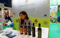 Die Wiedereinführung der Herkunftsbezeichnung Olivenöl in den Händen von Olivenbauern und Müllern