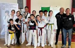 Sport, Musik und starke Emotionen beim 2. Spinosa Taekwondo Memorial in Legnano
