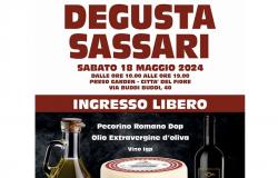 DAQ Olivarios, Verkostung von nativem Olivenöl extra und Pecorino Romano DOP-Käse in Sassari