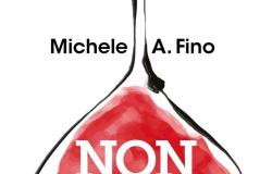 Ich kaufe es nicht, deshalb lese ich das Buch von Michele Antonio Fino