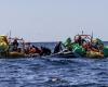 Ocean Viking rettet 25 Migranten, aber es ist ein Massaker. 50 Tote werden befürchtet