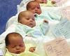 Laut Istat gehen die Geburten in Italien im Jahr 2023 weiter zurück