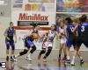 Die Etsch von VeronaEcodem Alpo Basketball, klarer Sieg in Rovigo 77-67