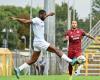 Fußball der Serie D. Treviso schlägt am Ende Luperense mit dem Stürmer Gnago und springt auf den dritten Tabellenplatz
