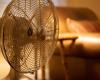 Die besten Ventilatoren gegen die schwüle Hitze zu Hause und im Urlaub