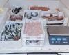 Kontrollen bei Fischhändlern und Restaurants in Agrigent: Über 100 Kilo Fischprodukte beschlagnahmt