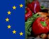 Aus diesem Grund ist es falsch zu behaupten, dass „die Europäische Union gegen italienisches Essen und die Mittelmeerdiät ist“.