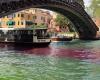 Venedig, immer noch gefärbtes Wasser im Canal Grande: Die Polizei stoppt zwei französische Aktivisten